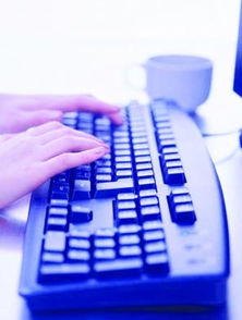 考研十大热门专业深度解析