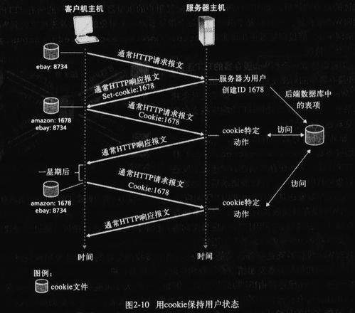 应用层在Web开发中的核心价值与技术实践